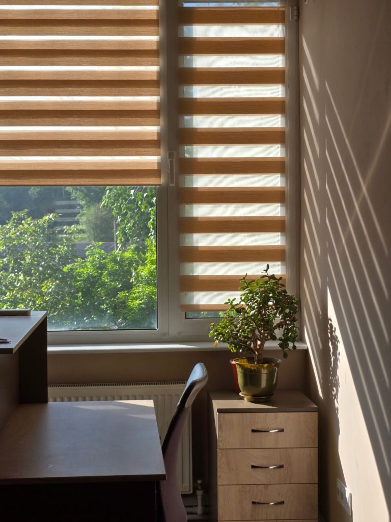 A peaceful office corner with natural light, featuring a plant and venetian blinds.